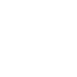 phone-outgoing-npp-com